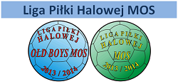 2013-14 Liga Piłki Halowej MOS
